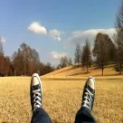 خرید زمین جنگلی در محمودآباد