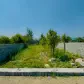تصویر 4 خرید زمین شهرکی دو نبش در چمستان