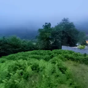 خرید زمین تجاری مسکونی جنگلی در چمستان واز