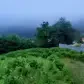تصویر 1 خرید زمین تجاری مسکونی جنگلی در چمستان واز